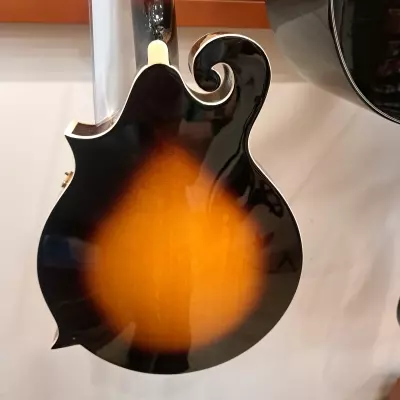 Denver F style mandolin 2